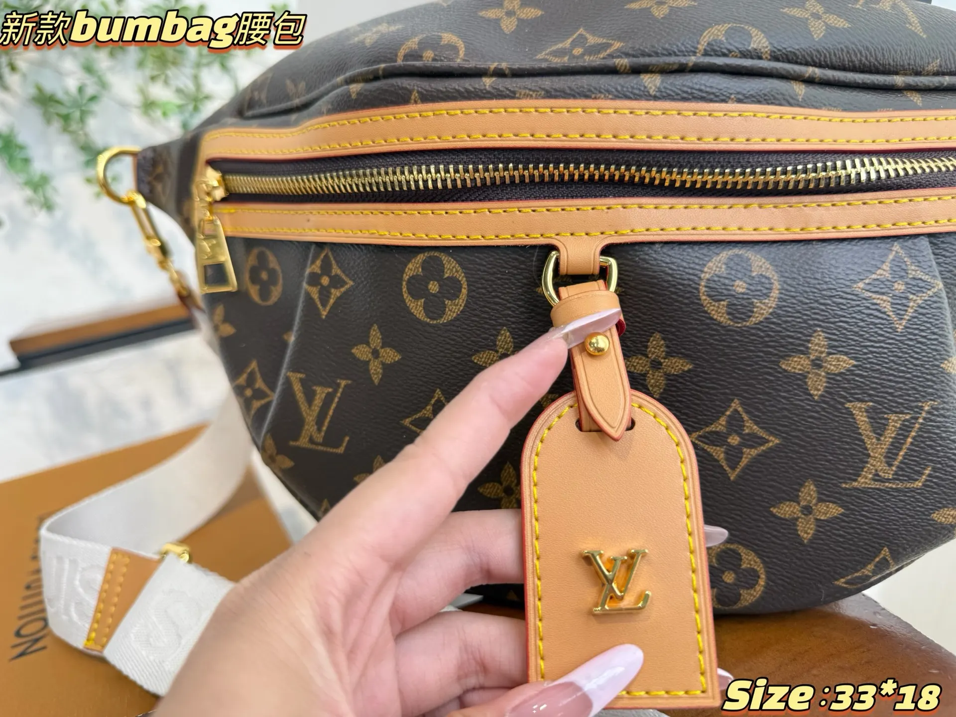 Louis Vuitton Belt Bag Casual