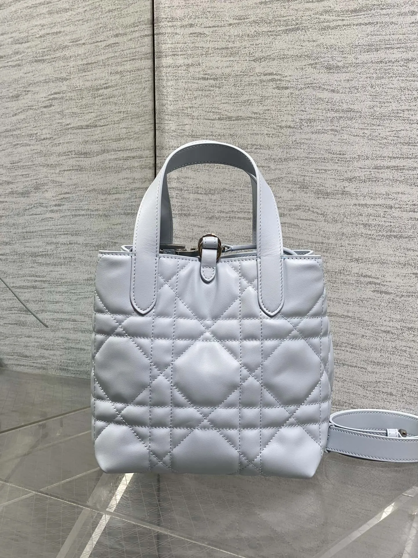 Dior Toujours 小牛皮手袋 手提斜挎 复古