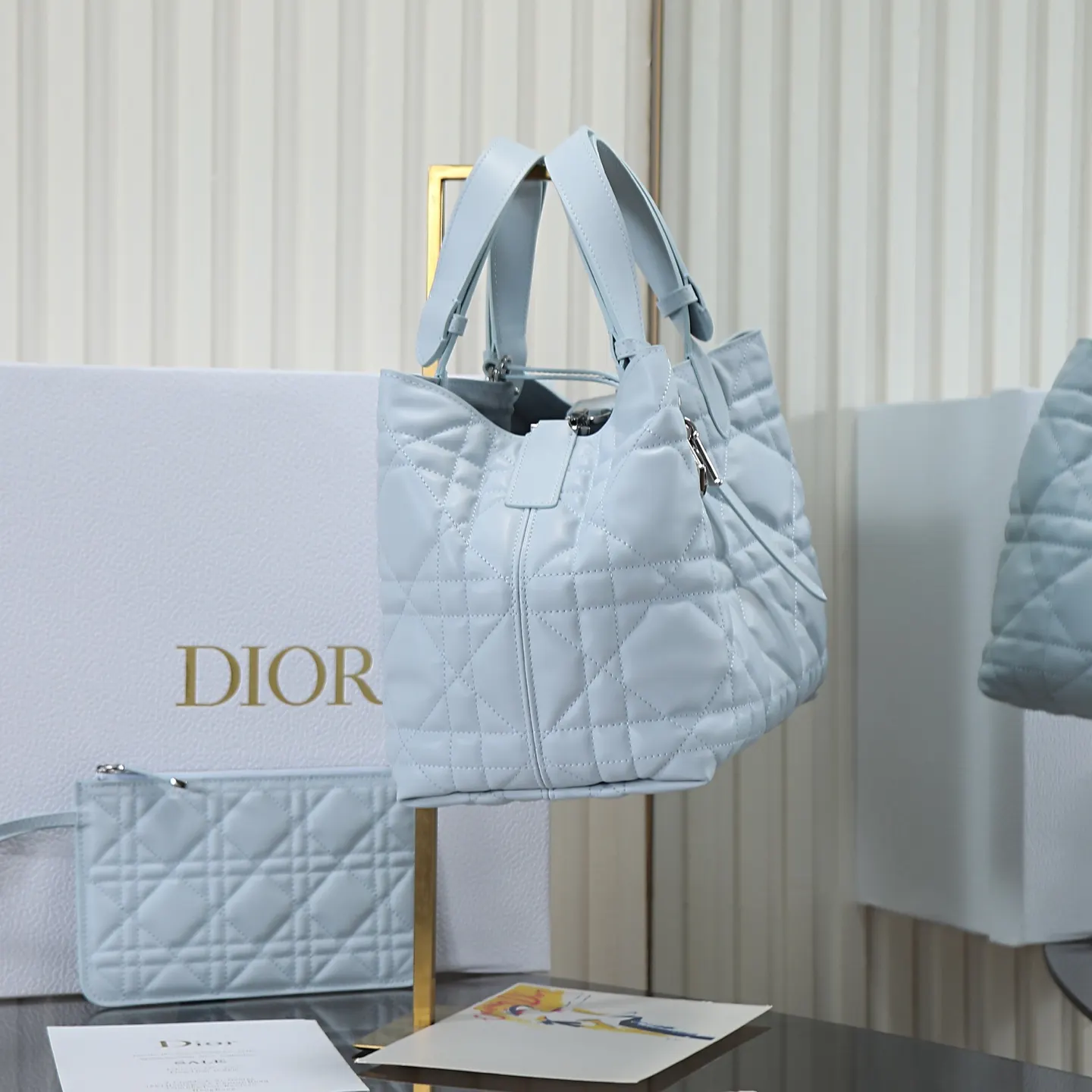 Dior Toujours 皮革 托特包