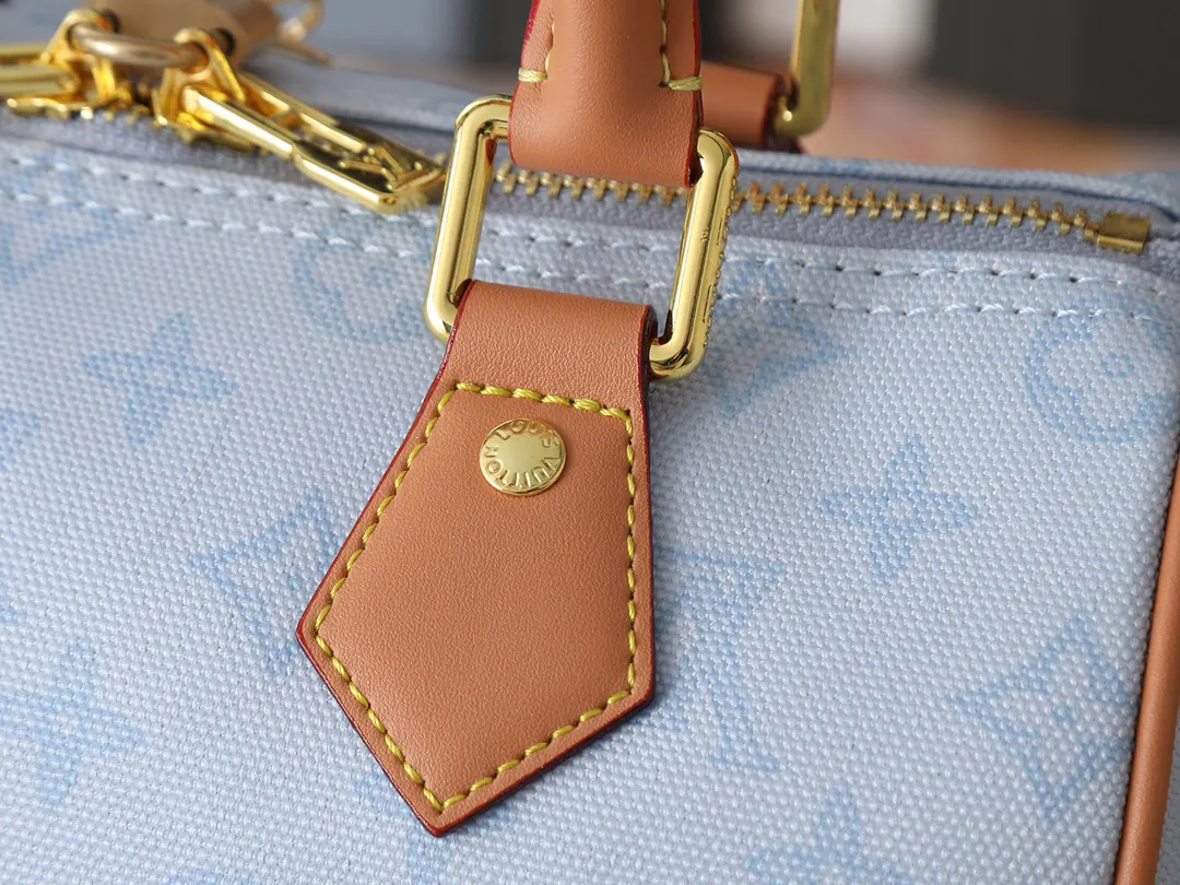 Louis Vuitton Organizer Pouch Travel Leather