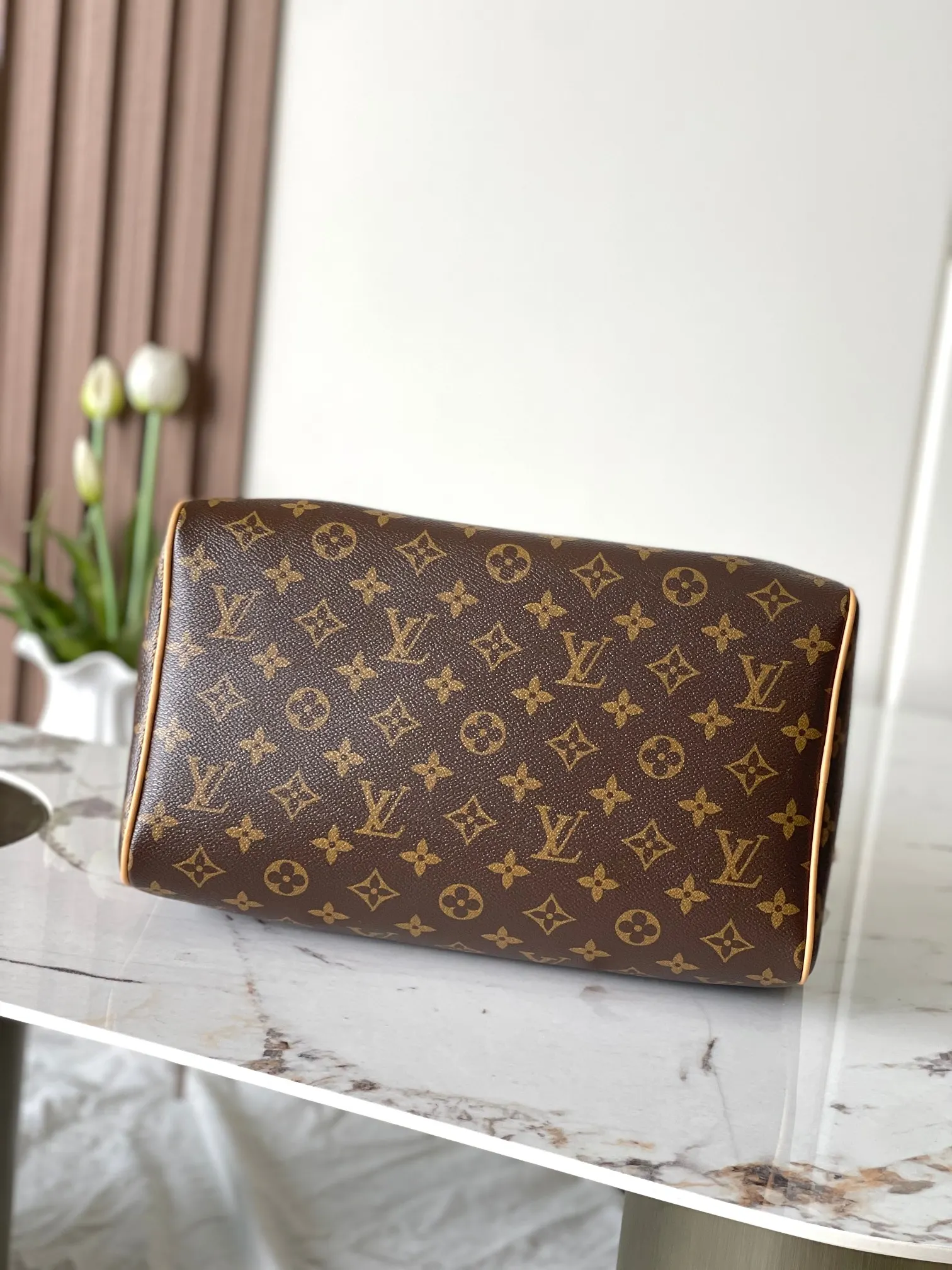 Louis Vuitton Speedy 老花手提斜背包