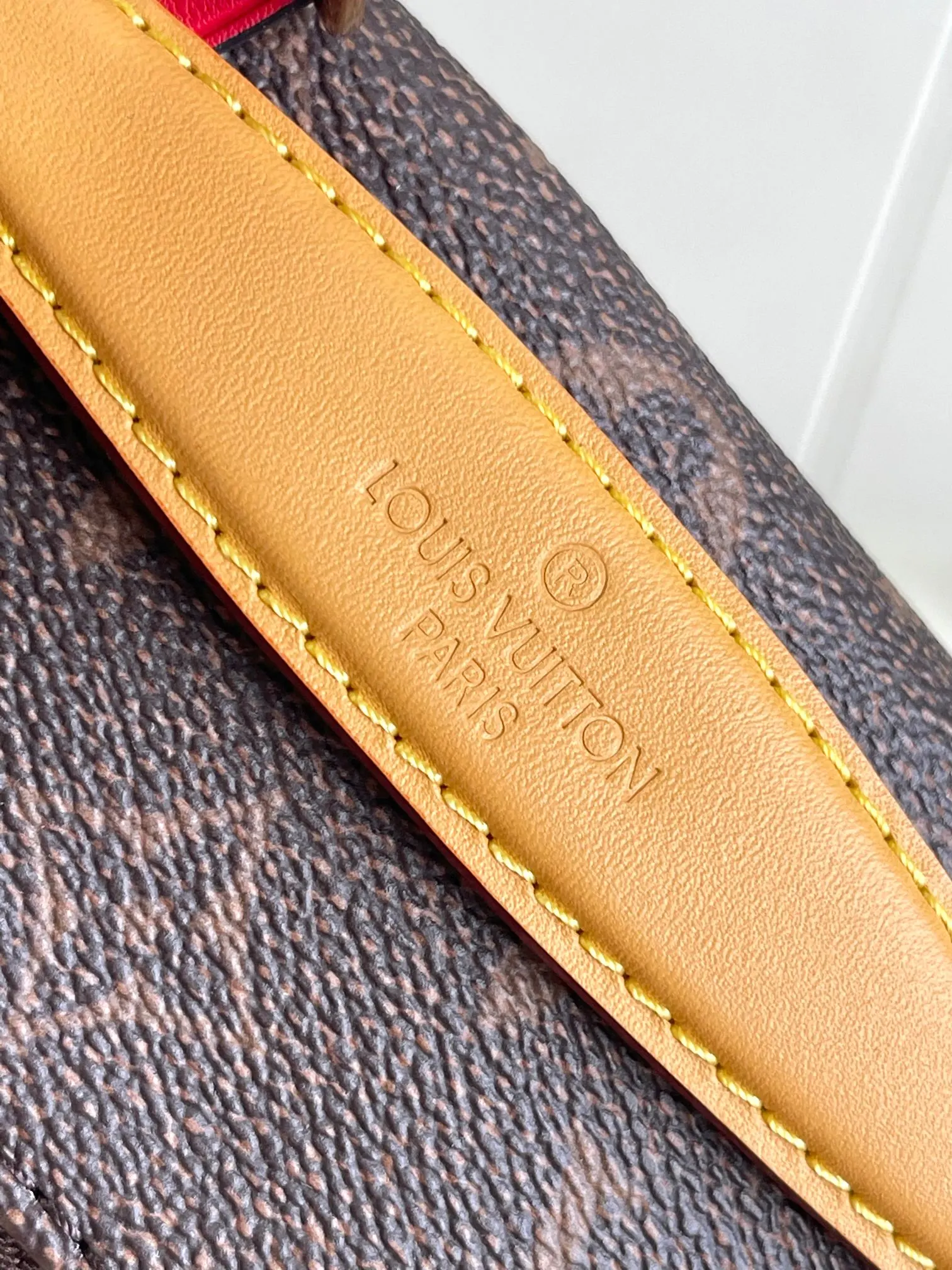 Louis Vuitton Belt Bag Casual Canvas