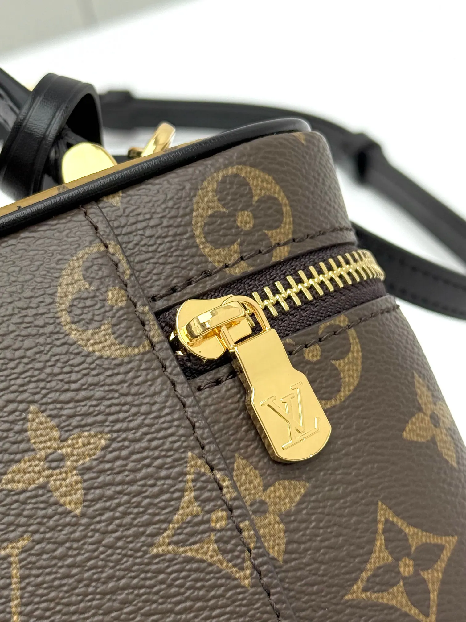 Louis Vuitton Chain Bag Canvas