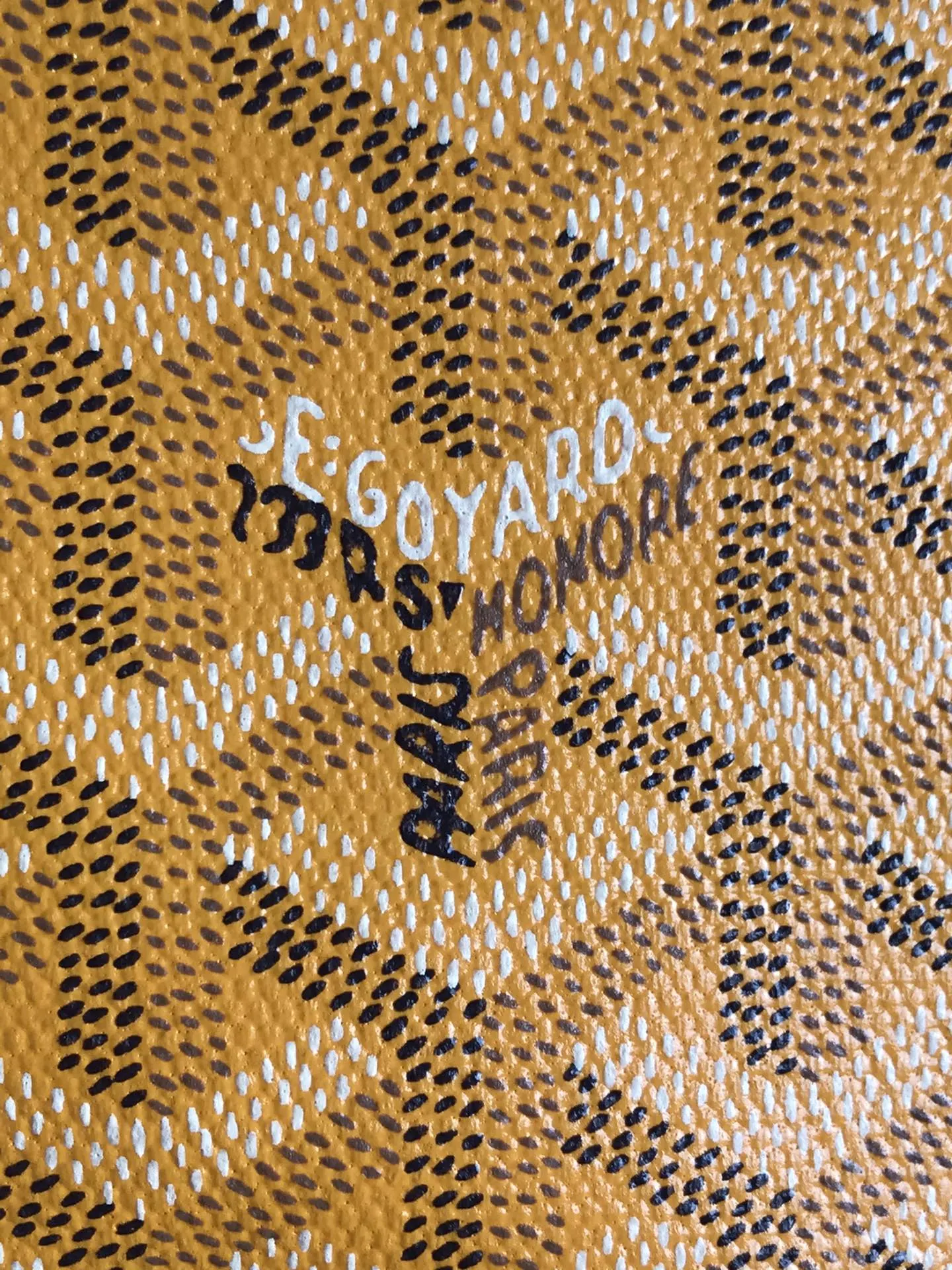 Goyard 皮革 Aln迷你 雙肩包 升级 送 礼品盒 说 实用雙肩款