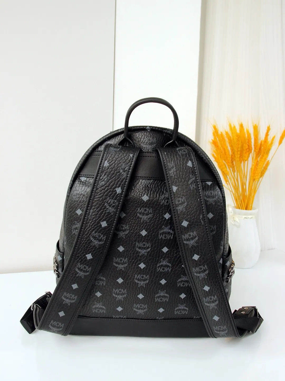 Backpack Canvas