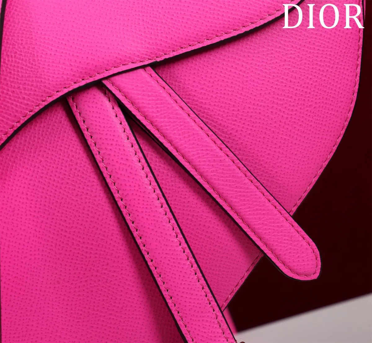 Dior Saddle 手提包