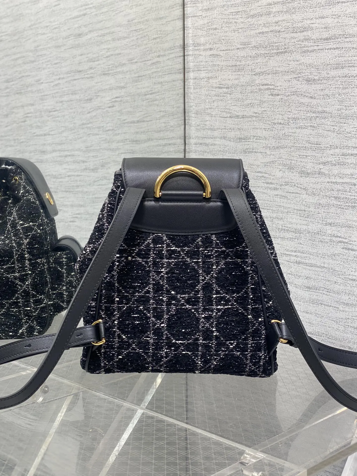 Dior Gold Backpack