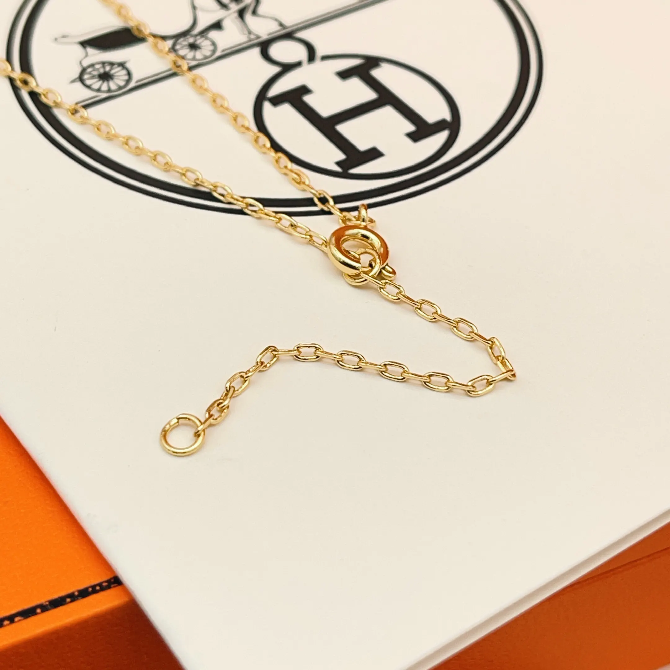 Hermès Roulis 金色 斜挎包