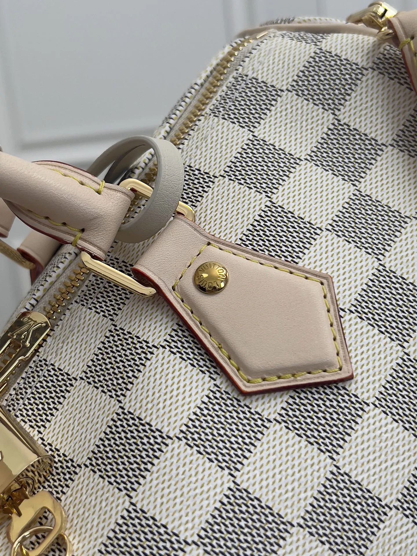 LV Speedy 帆布 收納包 旅行收納款