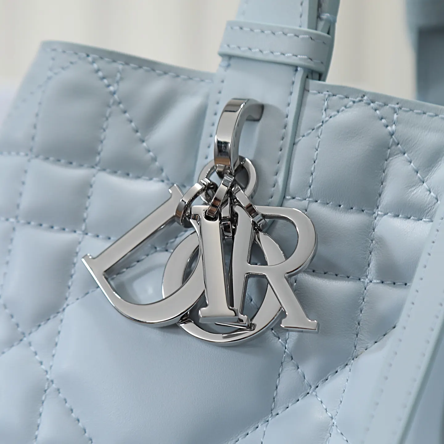 Dior Toujours 皮革 托特包