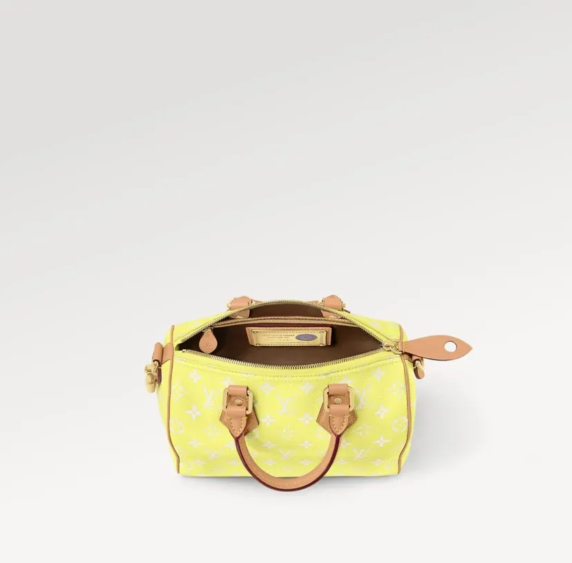 LV 黄色彩色老花Speedy手袋 小号款｜ORBUYBAG 岚奢包高端时尚精品