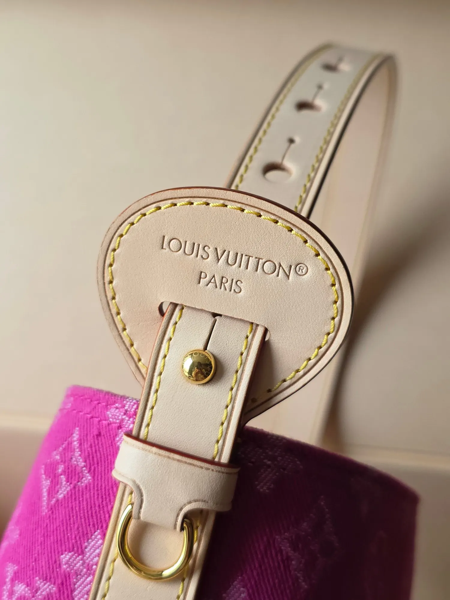 Louis Vuitton Red Bucket Bag Casual