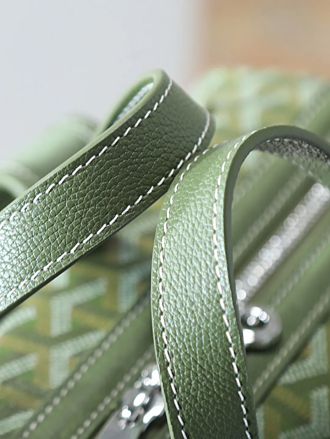 Goyard Backpack Leather