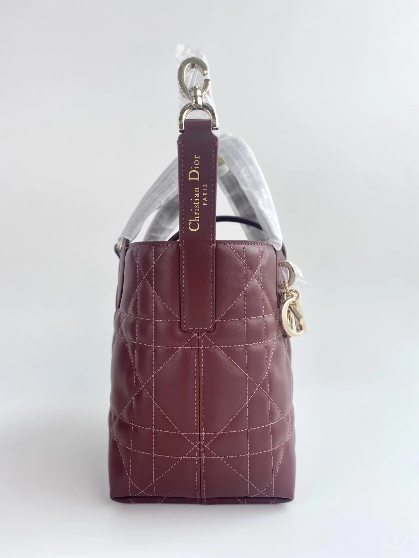 Dior Toujours 红色 皮革 手提包