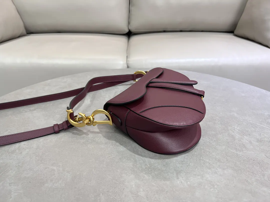 Dior Saddle 红色 手提包