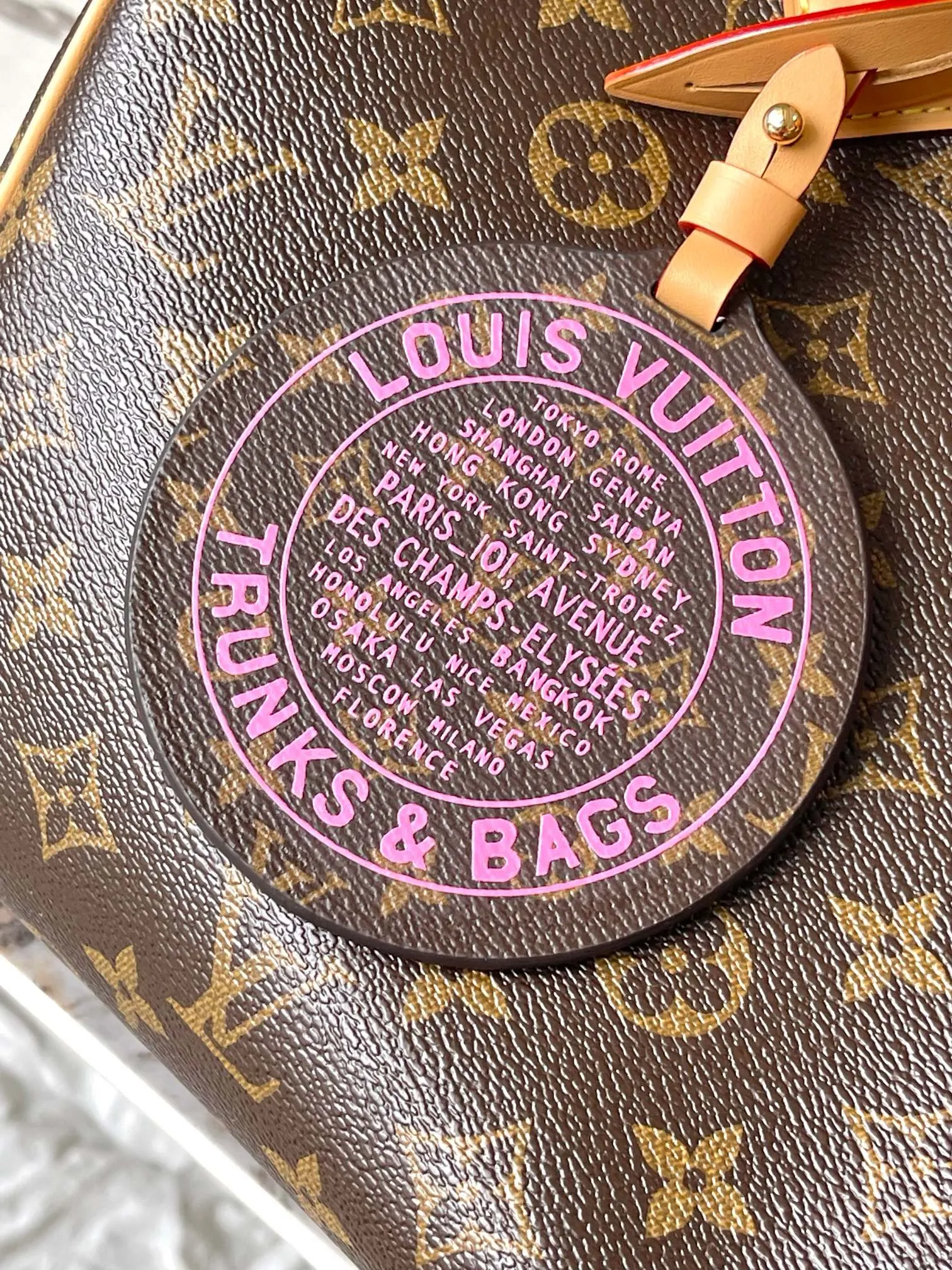 Louis Vuitton Speedy 老花手提斜背包