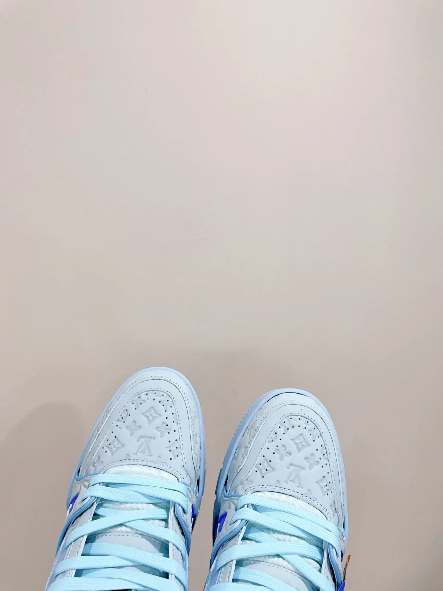 Louis Vuitton 运动鞋