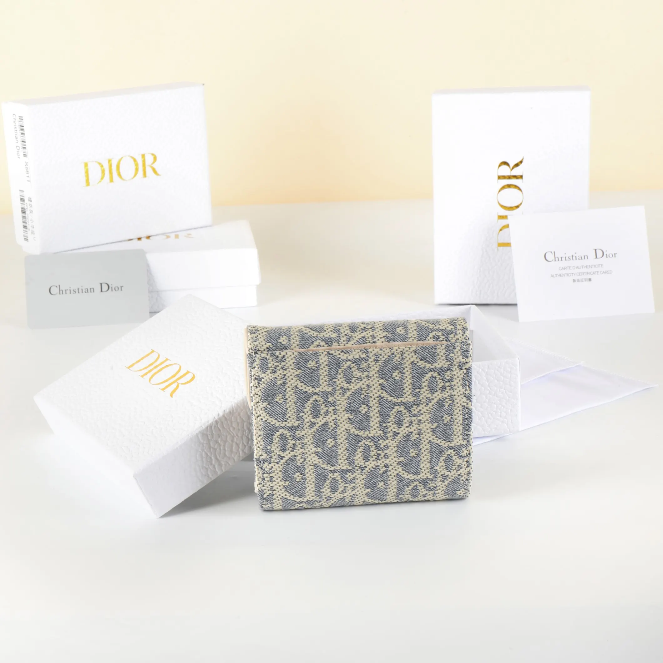 Dior Saddle 金色 钱包