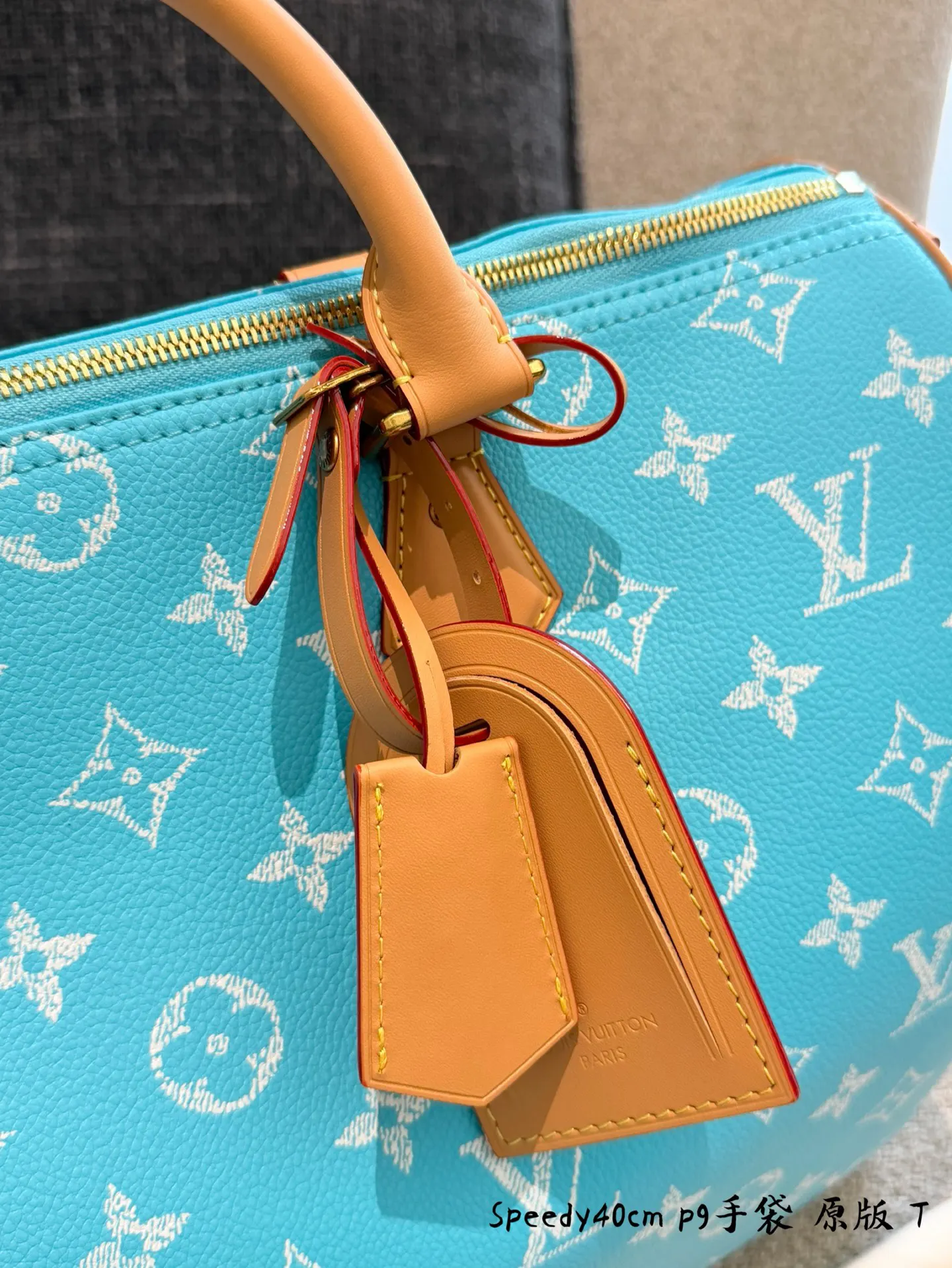 LV 老花 帆布 Sedy 绿松石手袋​​ 绿松石手袋 斜挎包 轻便斜挎款
