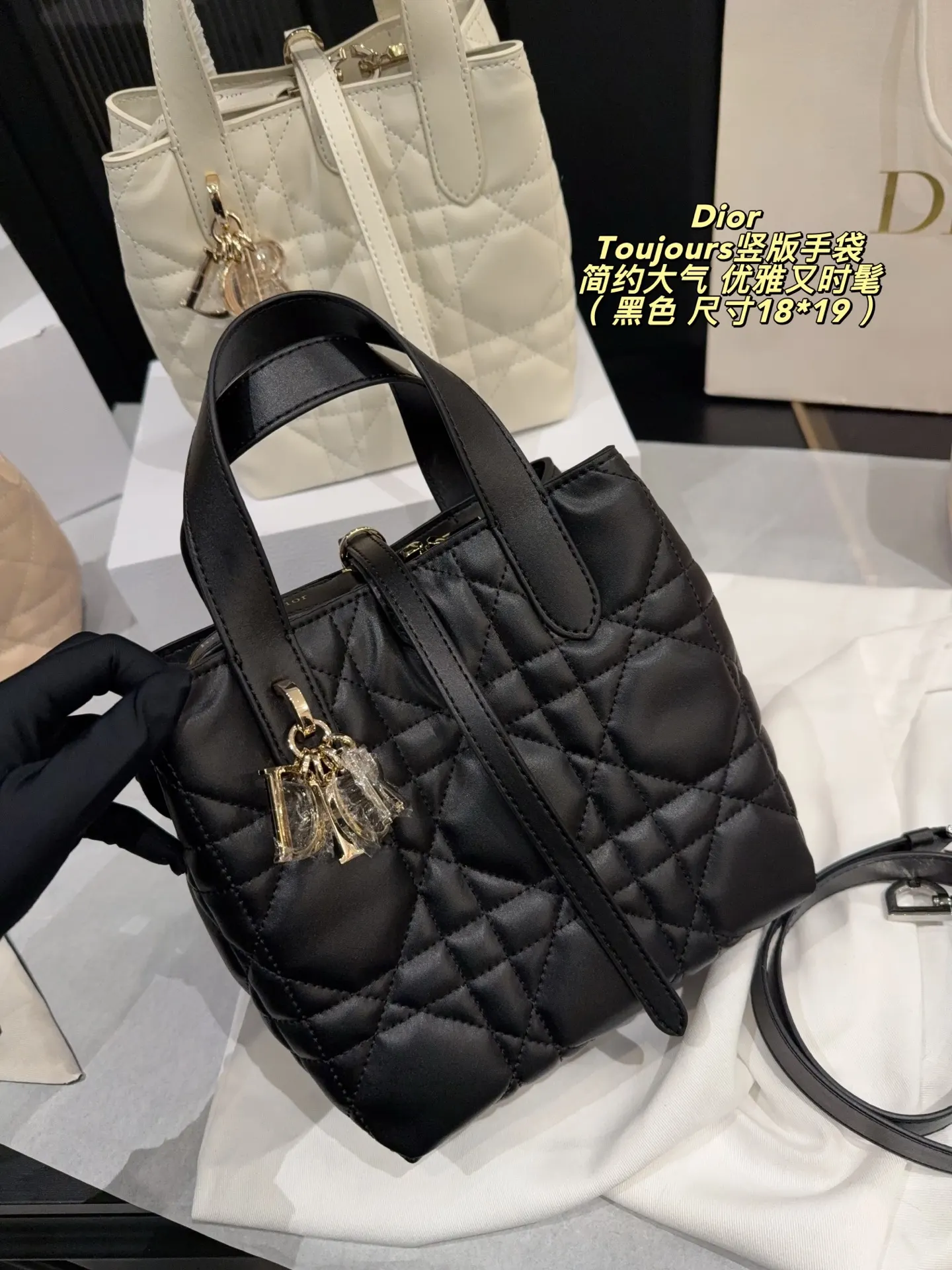 Dior Organizer Pouch Travel
