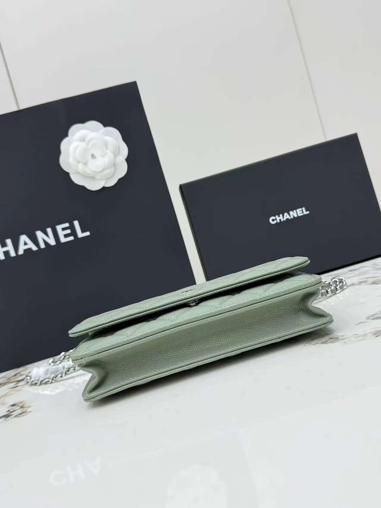 Chanel Chain Bag Leather