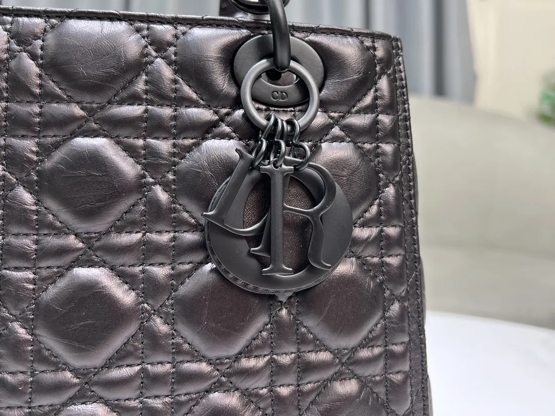 Dior 黑色 进口 油蜡皮戴妃包 五格 油蜡皮戴妃 收納包 旅行收納款