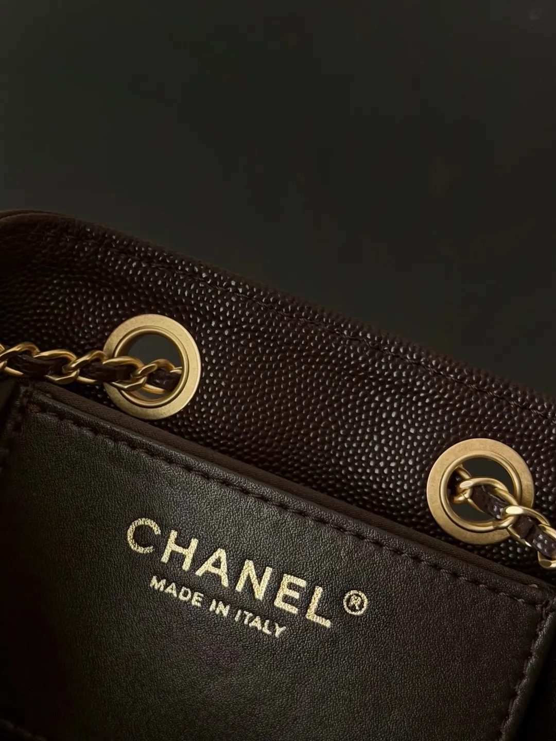 CHANEL Hobo 牛皮 腋下包 复古腋下背款