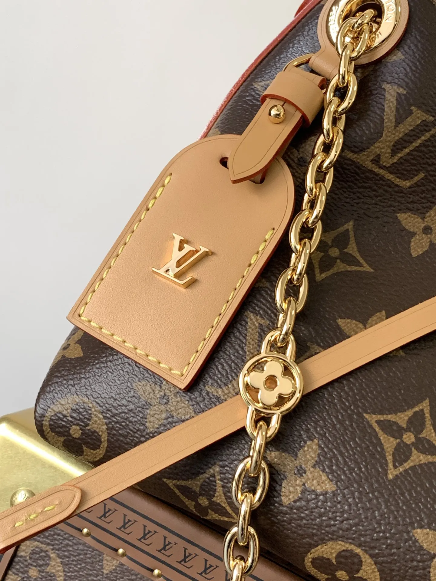 CarryAll 牛皮 链条包 精致链条款