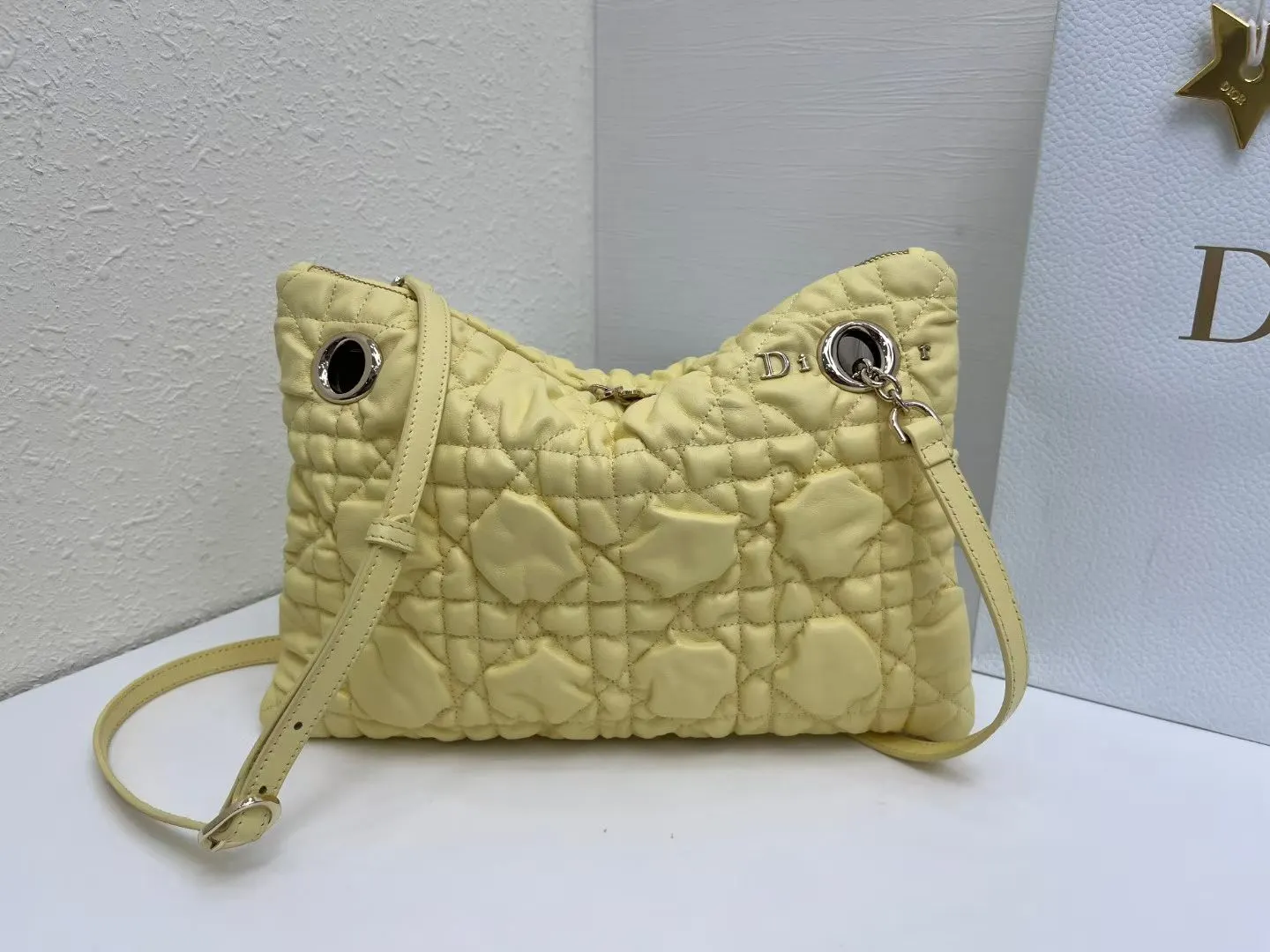 Dior Chain Bag Classic