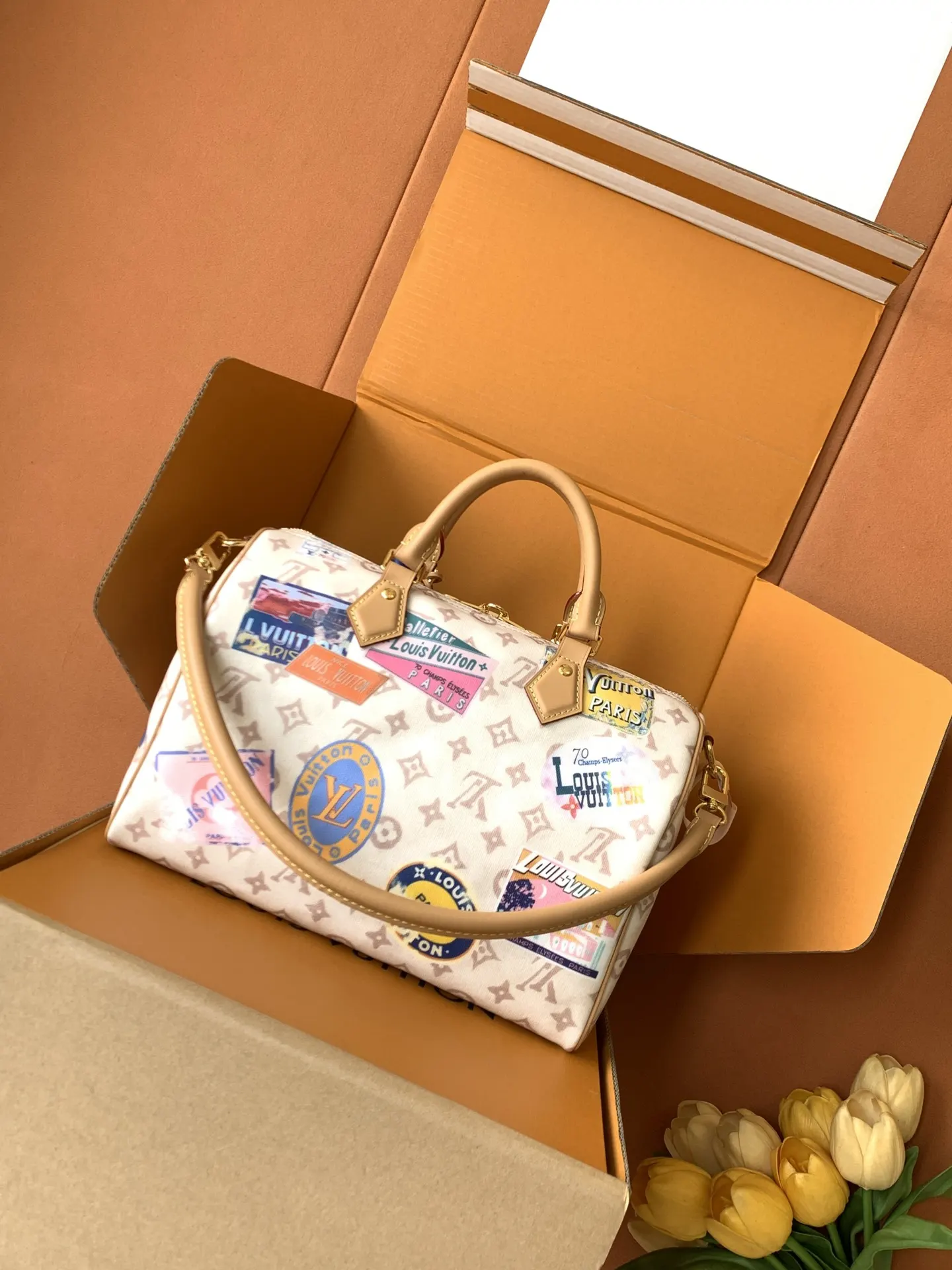 Louis Vuitton Shoulder Bag