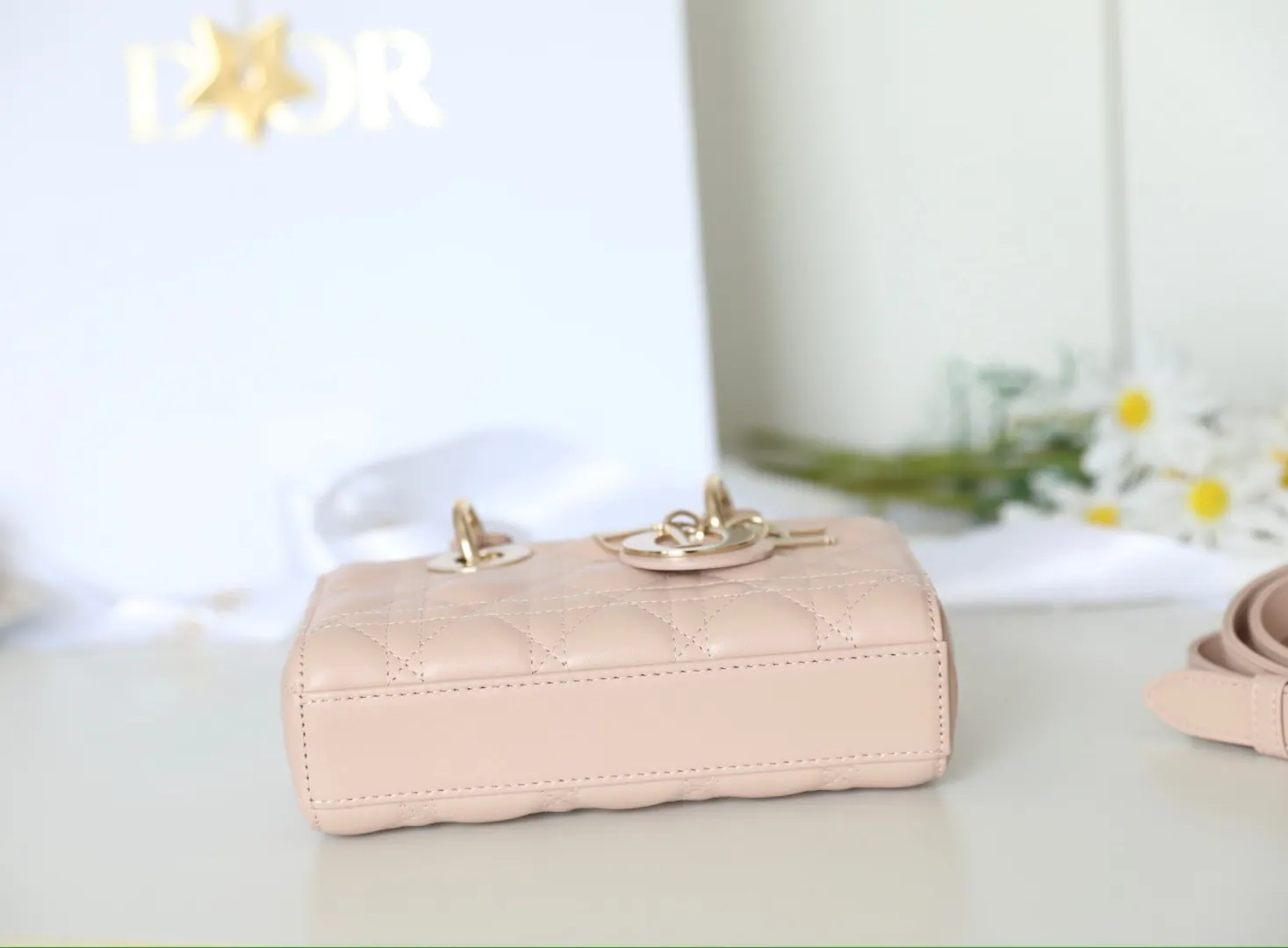 Dior Lady Dior Lady 粉色羊皮手袋 禮盒展示