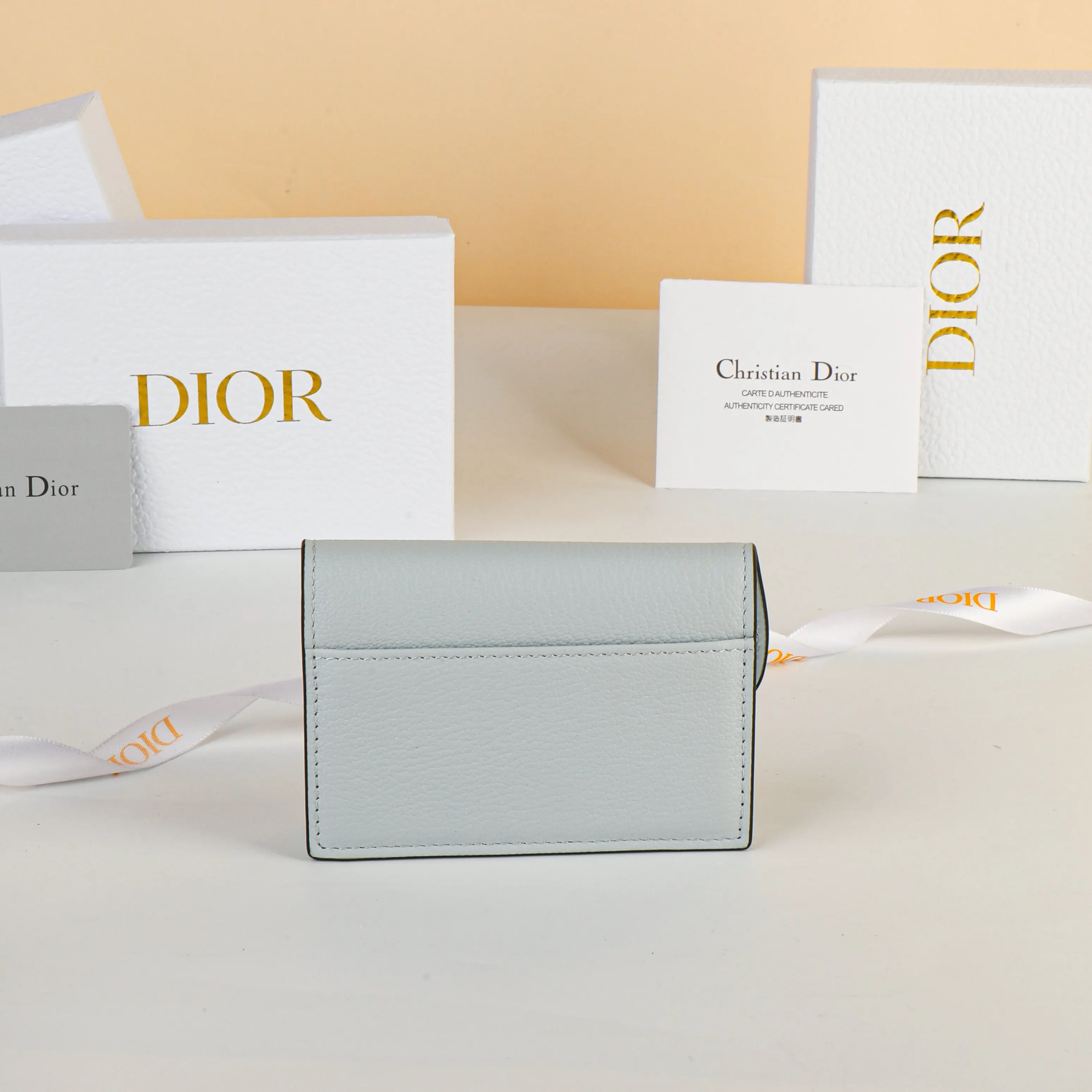 Dior Saddle 皮革 钱包