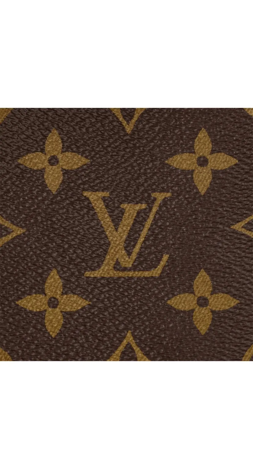 Louis Vuitton Clutch Bag Canvas Image 5 Louis Vuitton Clutch Bag Canvas Image 5