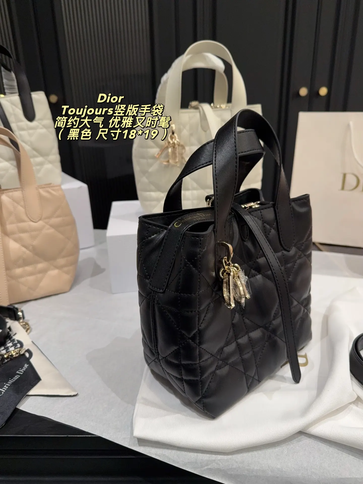 Dior Organizer Pouch Travel