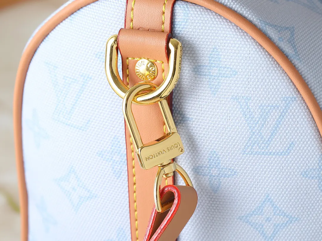 Louis Vuitton Organizer Pouch Travel Leather