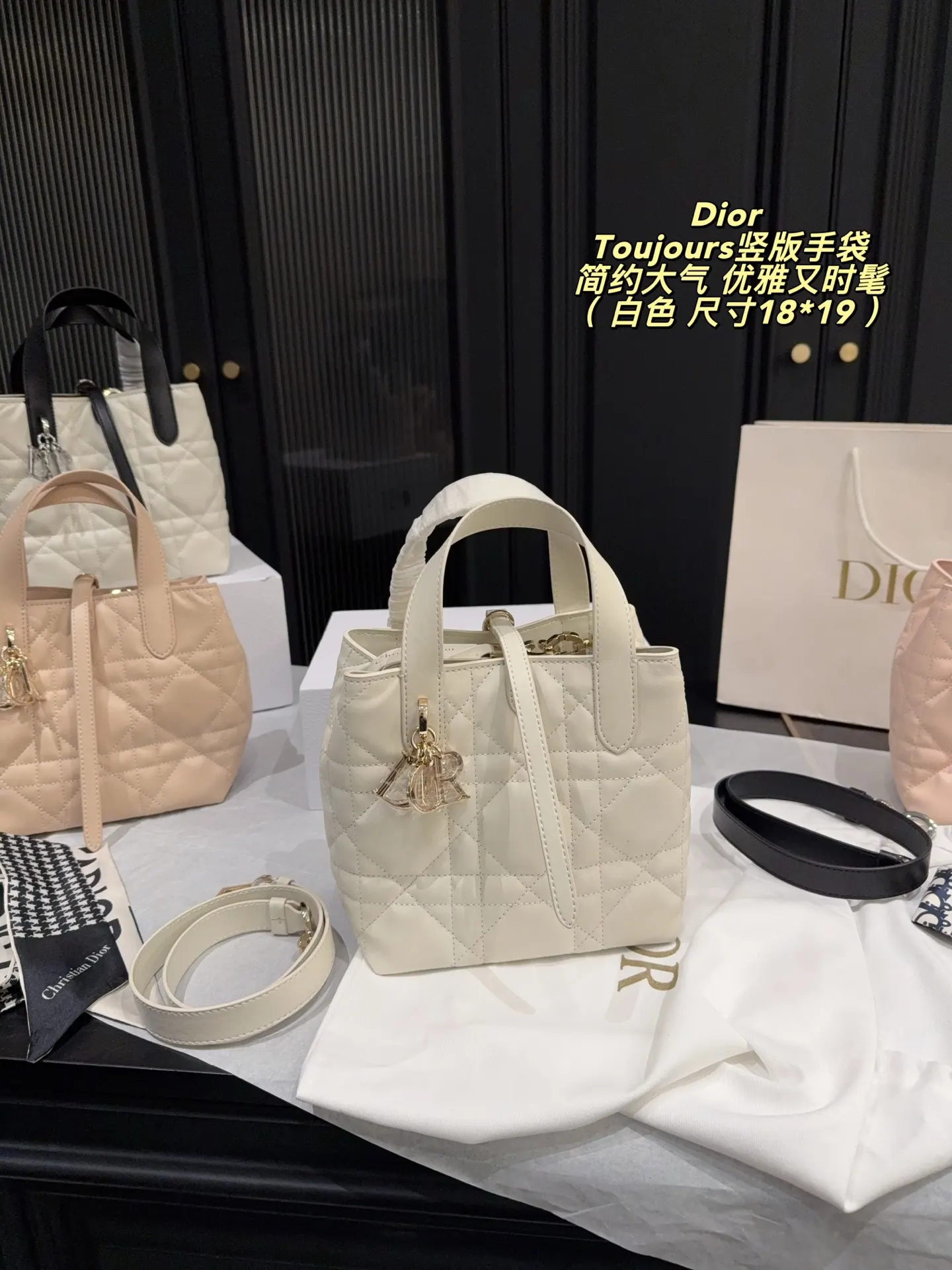 Dior Organizer Pouch Travel