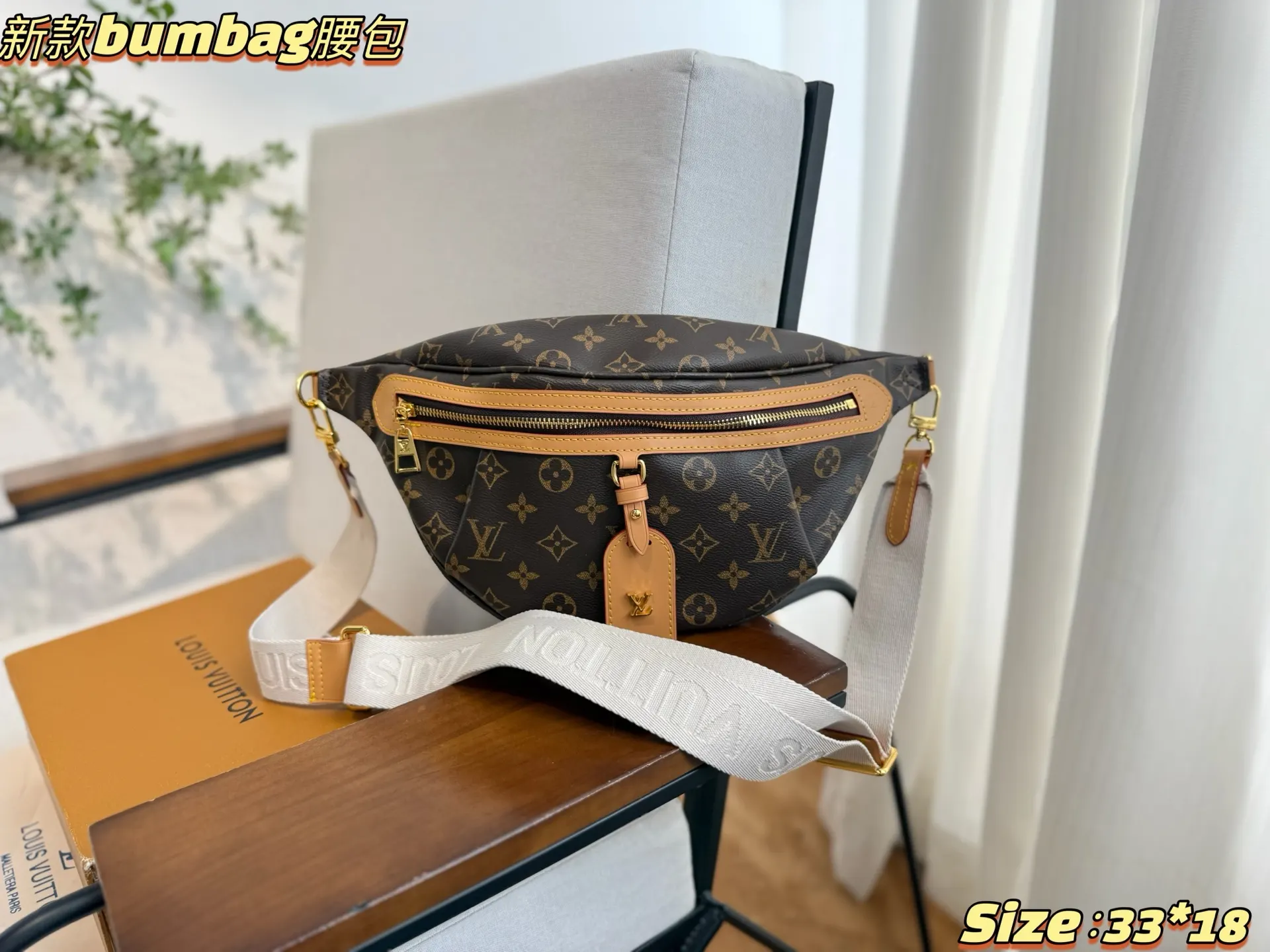 Louis Vuitton Belt Bag Casual