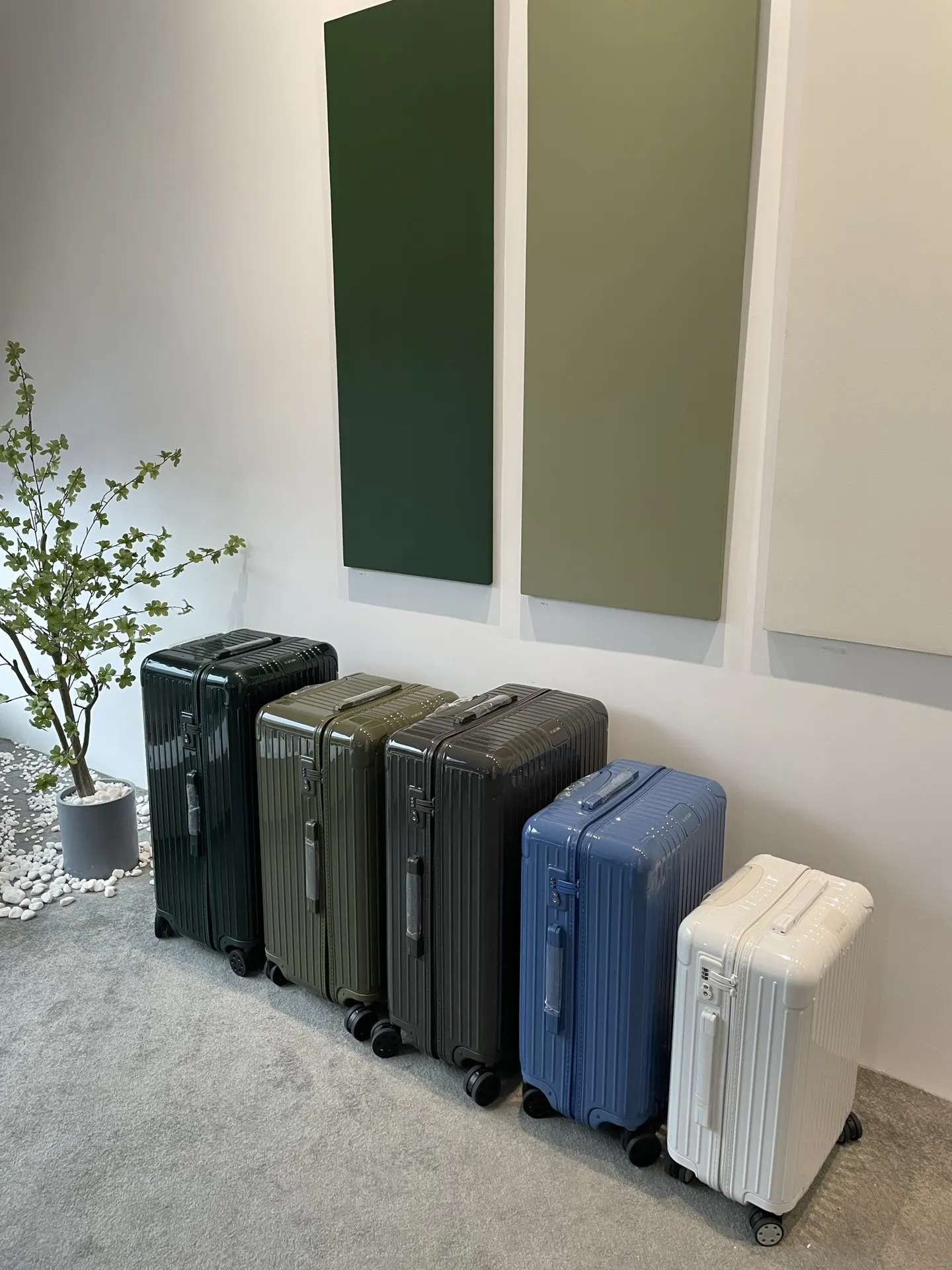 Black White Suitcase Travel Lightweight