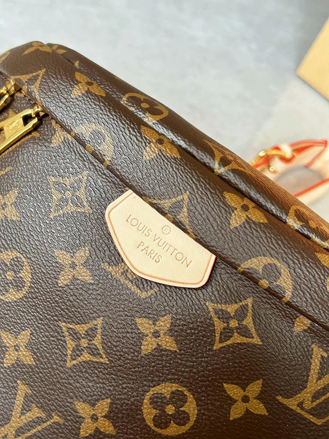 Monogram Belt Bag Casual Canvas