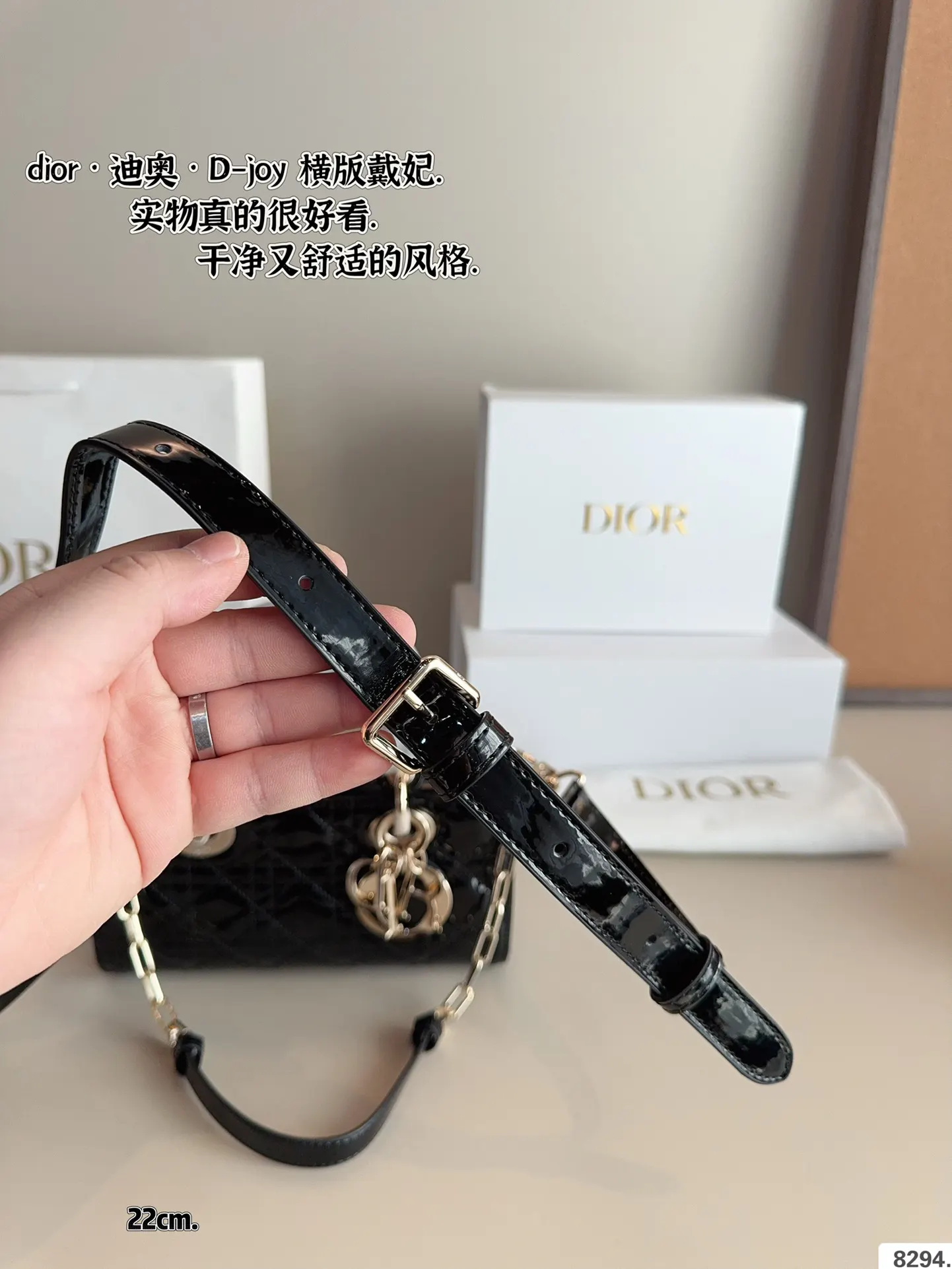 Dior 漆皮 全套 戴妃 横版 漆皮纹 夏日必备单 斜背包 輕便斜挎款