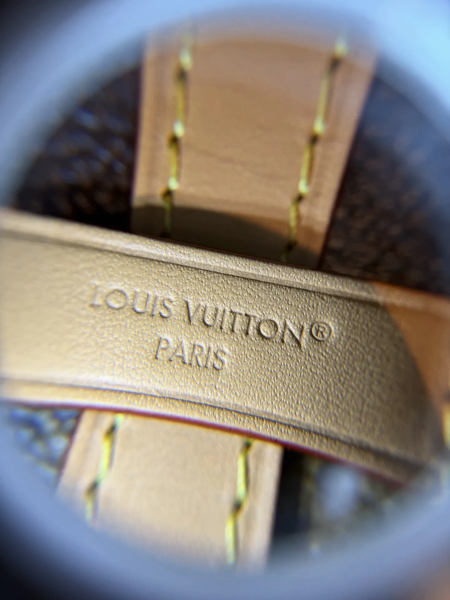 Louis Vuitton M46203 手提包 实拍款02