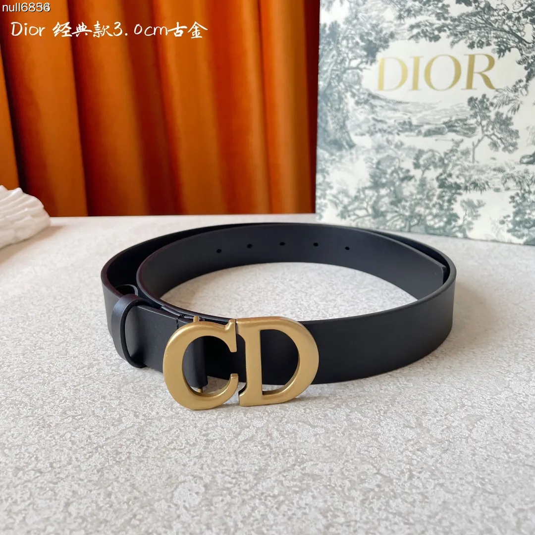 Dior 牛皮裙装 精致穿搭 腰带