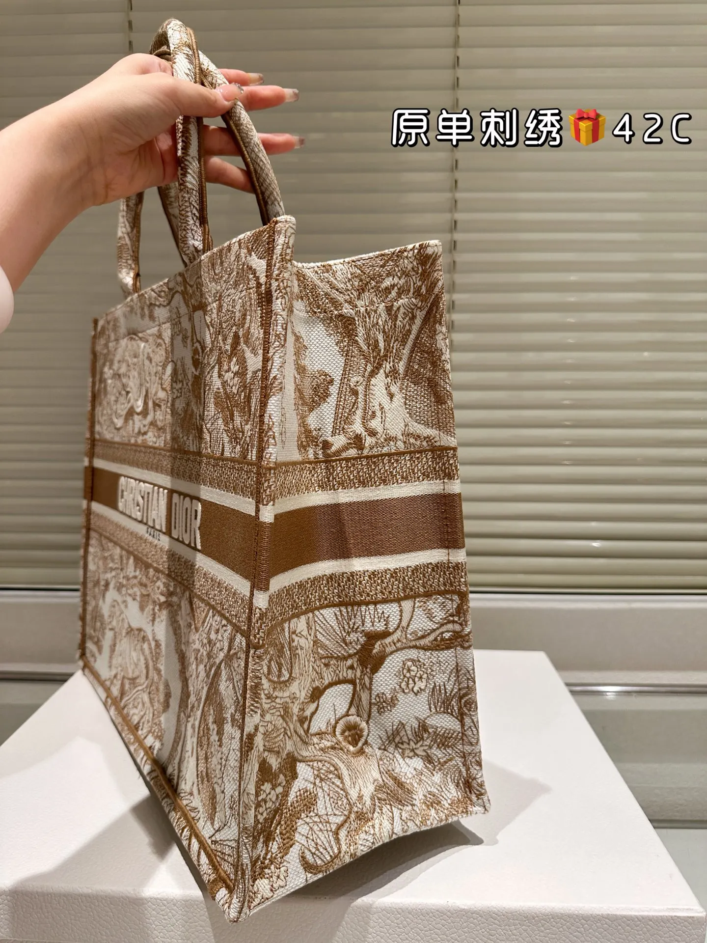 Dior Monogram Tote Bag