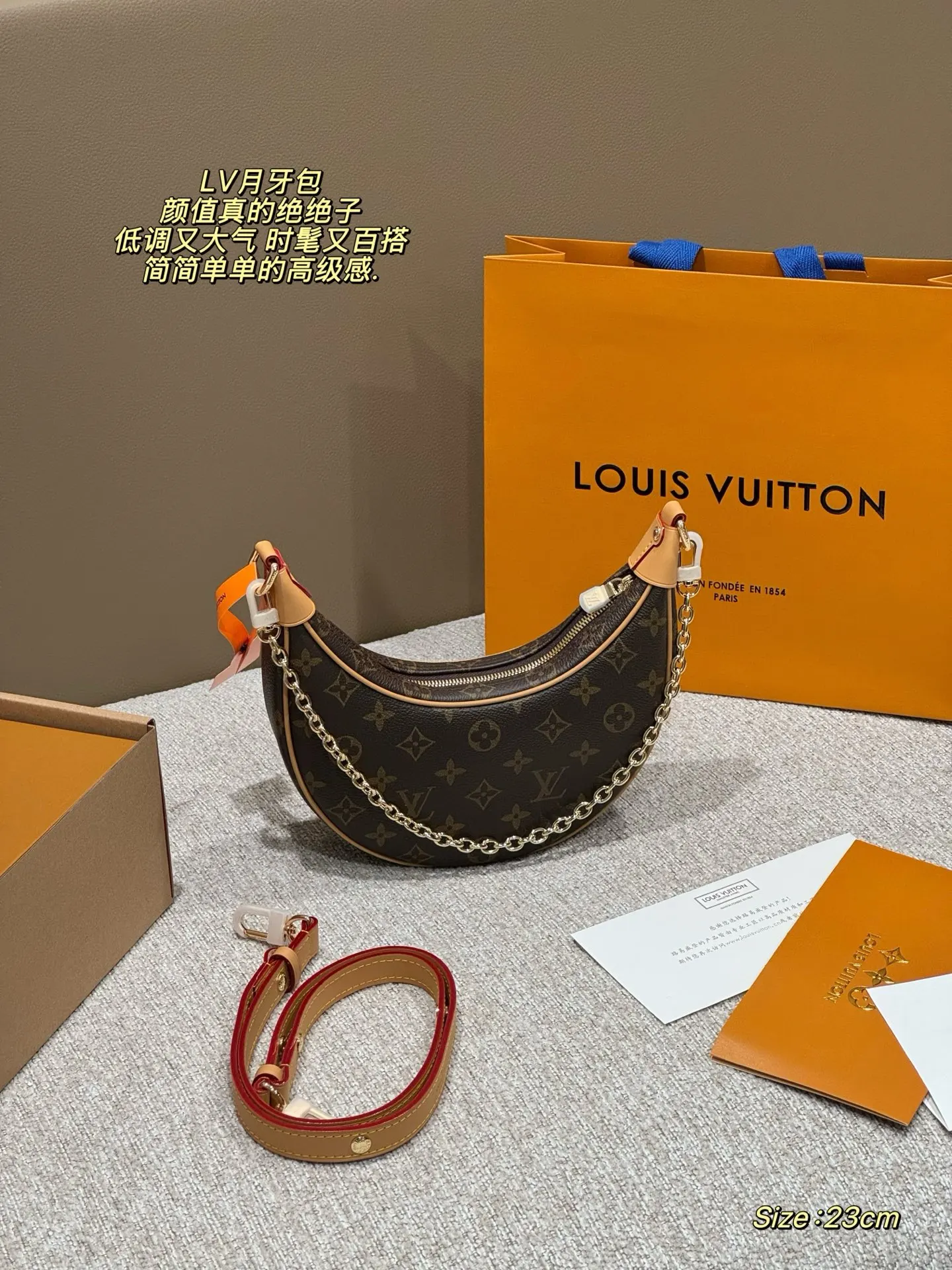 Louis Vuitton Hobo Shoulder Bag Vintage
