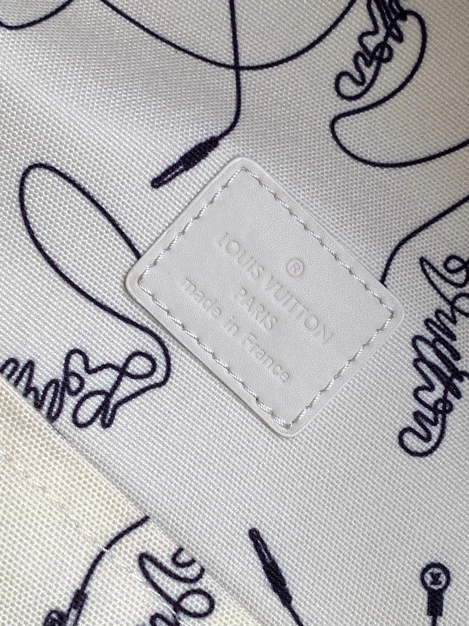 Backpack Canvas