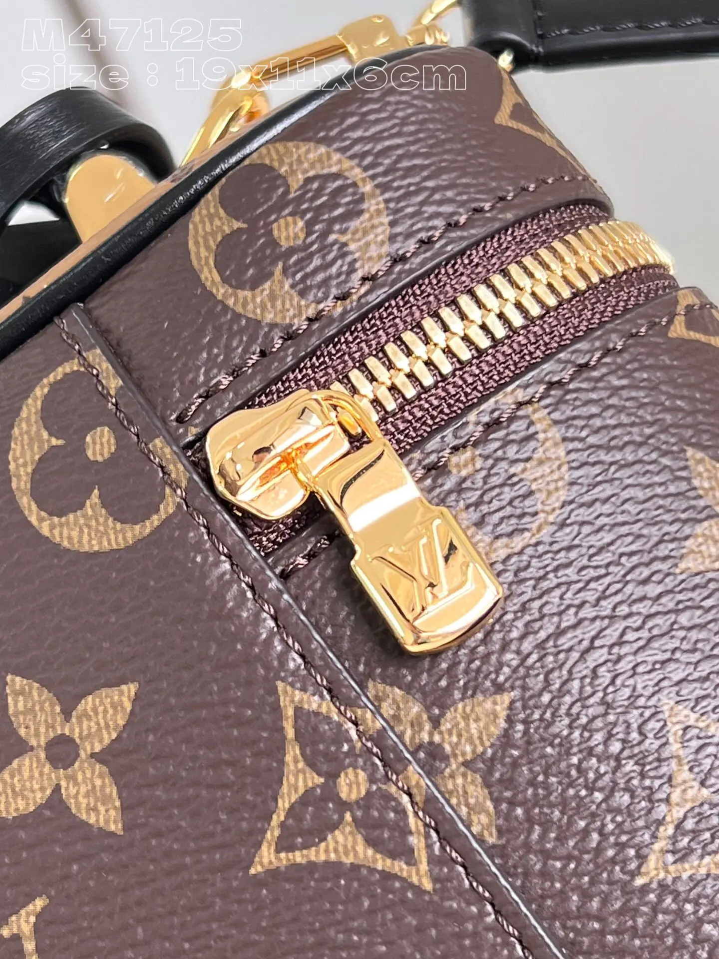 Louis Vuitton Chain Bag Canvas