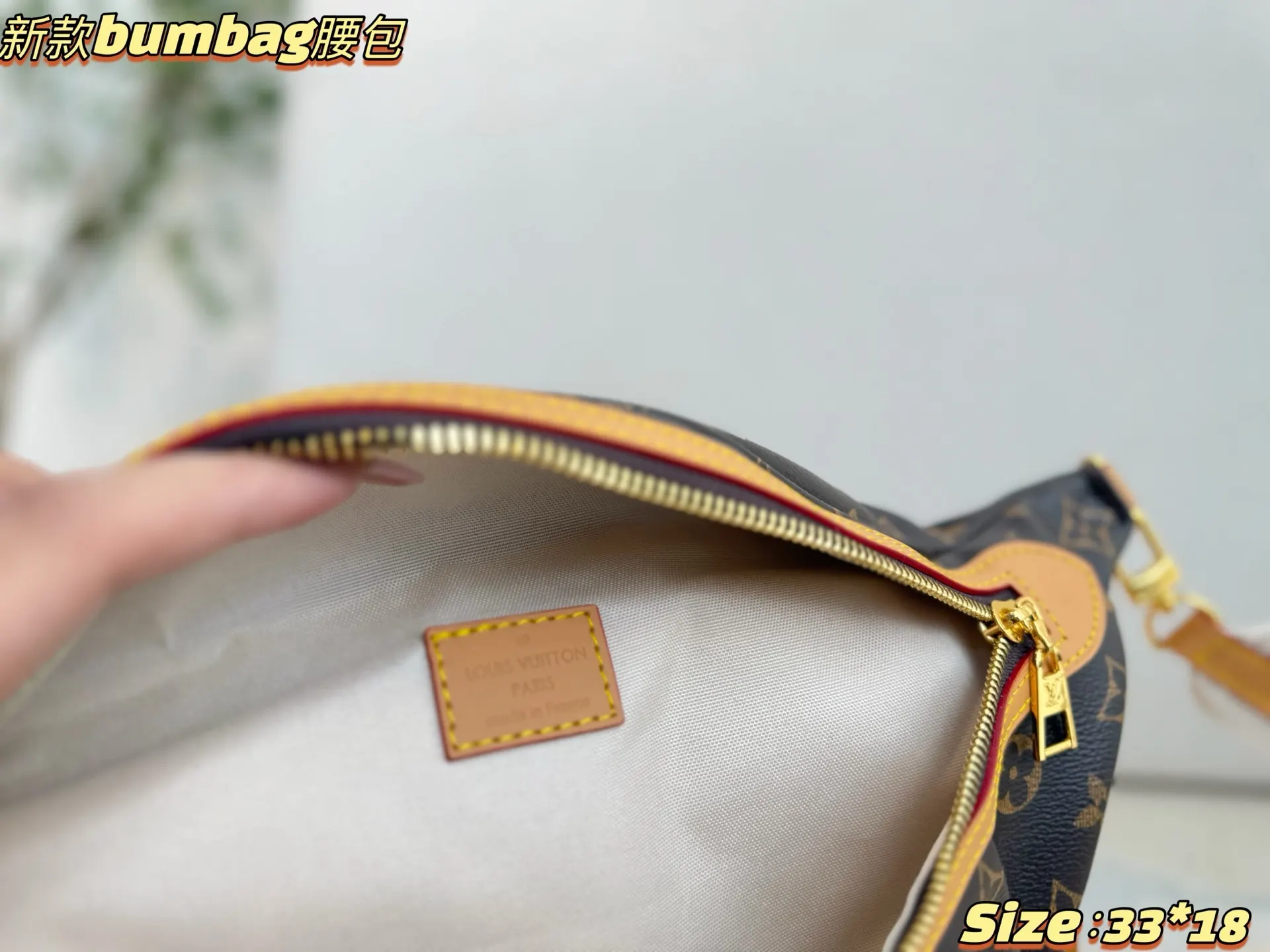 Louis Vuitton Belt Bag Casual