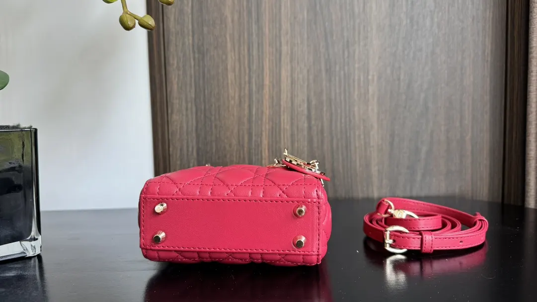 Dior Red Top Handle Bag Commuter