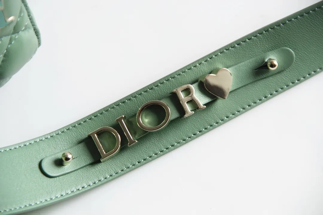 Dior Lady 收納包 旅行收納款