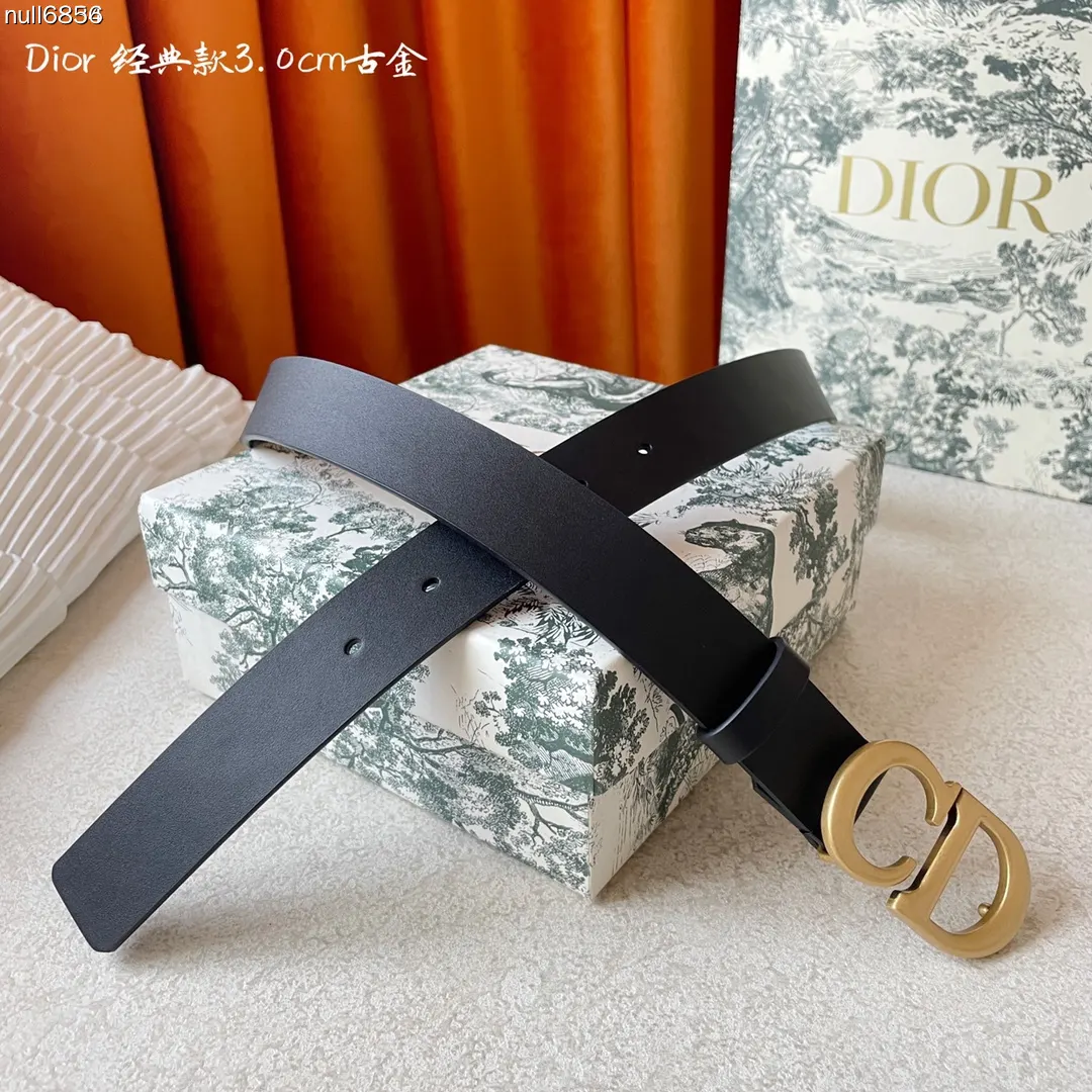 Dior 牛皮裙装 精致穿搭 腰带